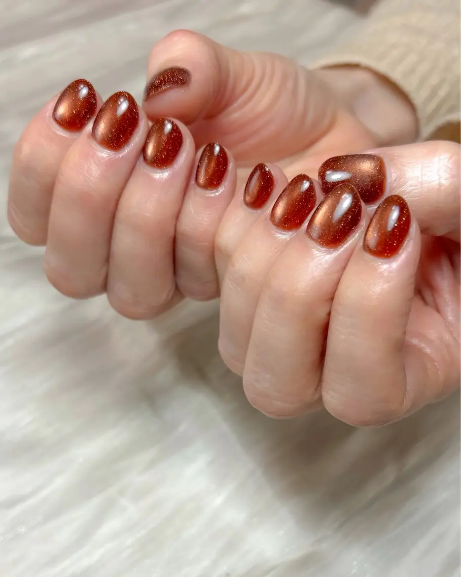 ネイル マグネットネイル ワンカラーネイル Luce nail 🫧なるみのネイルデザイン