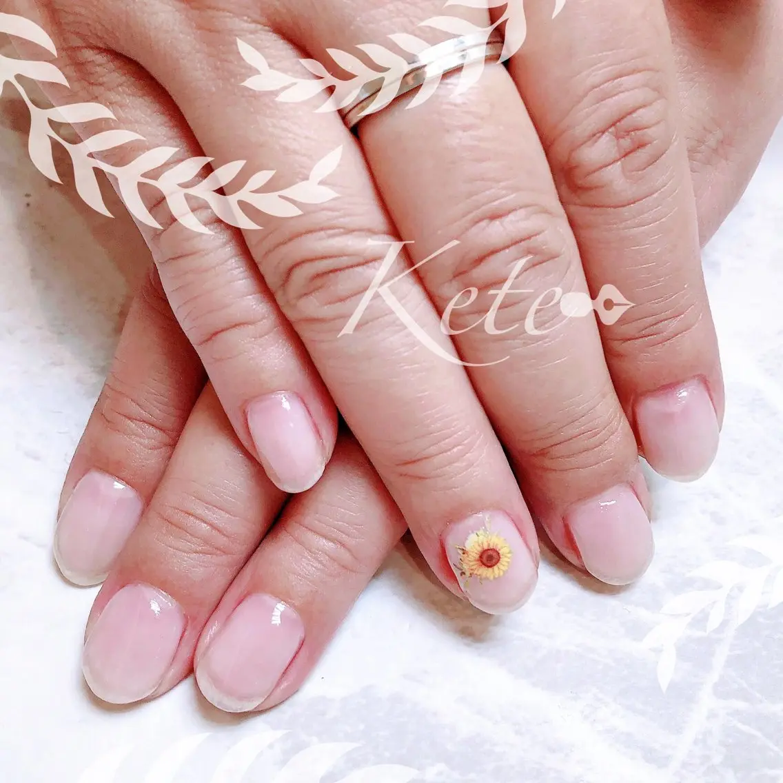 🌱クリアネイル研究🧪オフケア無し🌿の写真