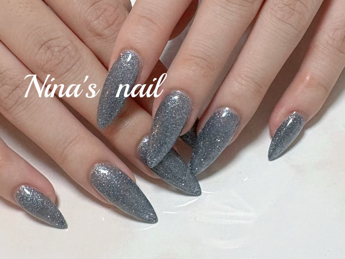 ネイル マグネットネイル ワンカラーネイル ハンドネイル Nina's nailのネイルデザイン