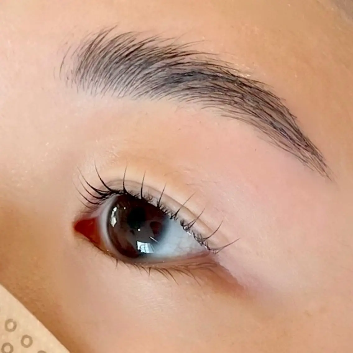 マツエク・マツパ マツパ Salon　DéFi 🦋マツパ・眉毛のマツエク・マツパデザイン