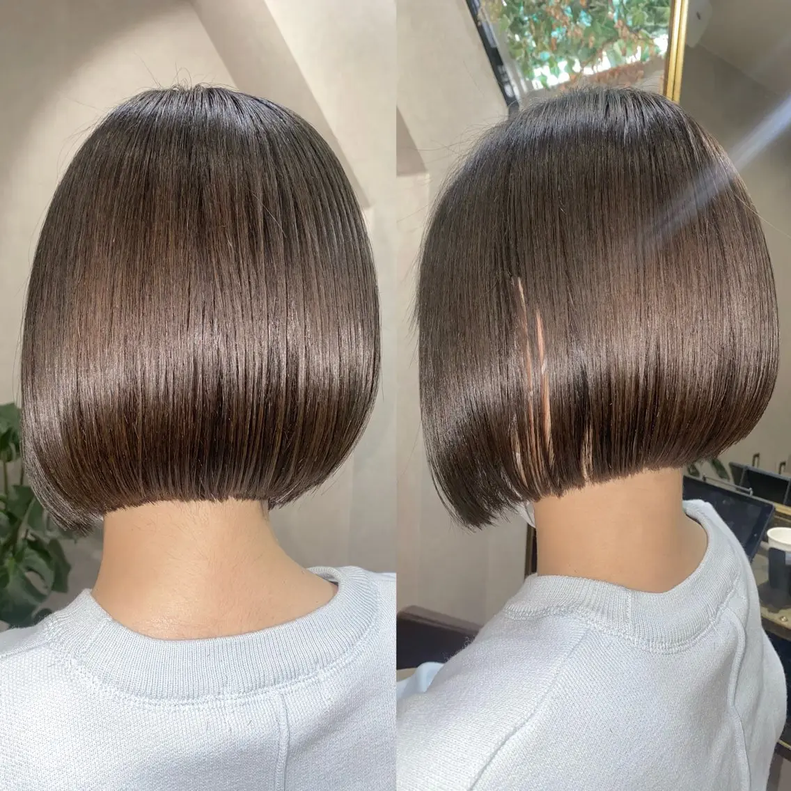 ミディアム ＳＨＩ ＺＵのヘアスタイル