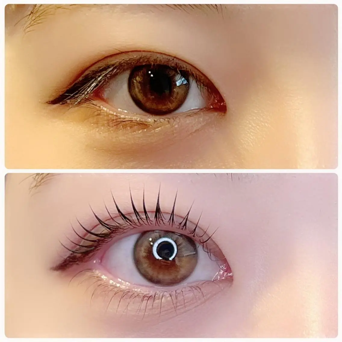 マツエク・マツパ A'VI Eye CoCoLo新潟店のマツエク・マツパデザイン