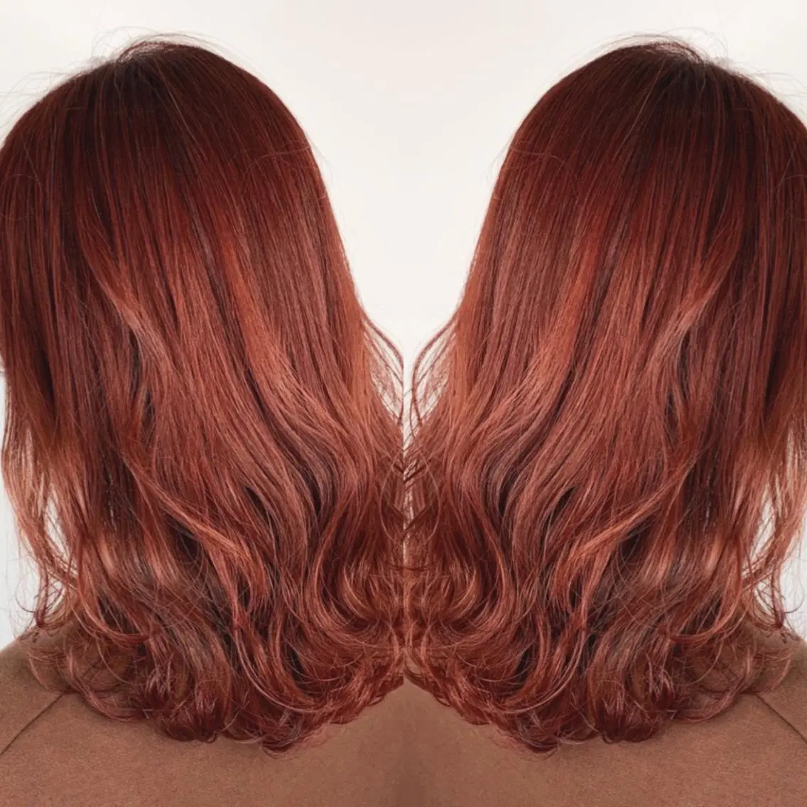ミディアム レッドブラウン カット ヘアカラー トリートメント 【White京橋】 岸　拓斗のヘアスタイル