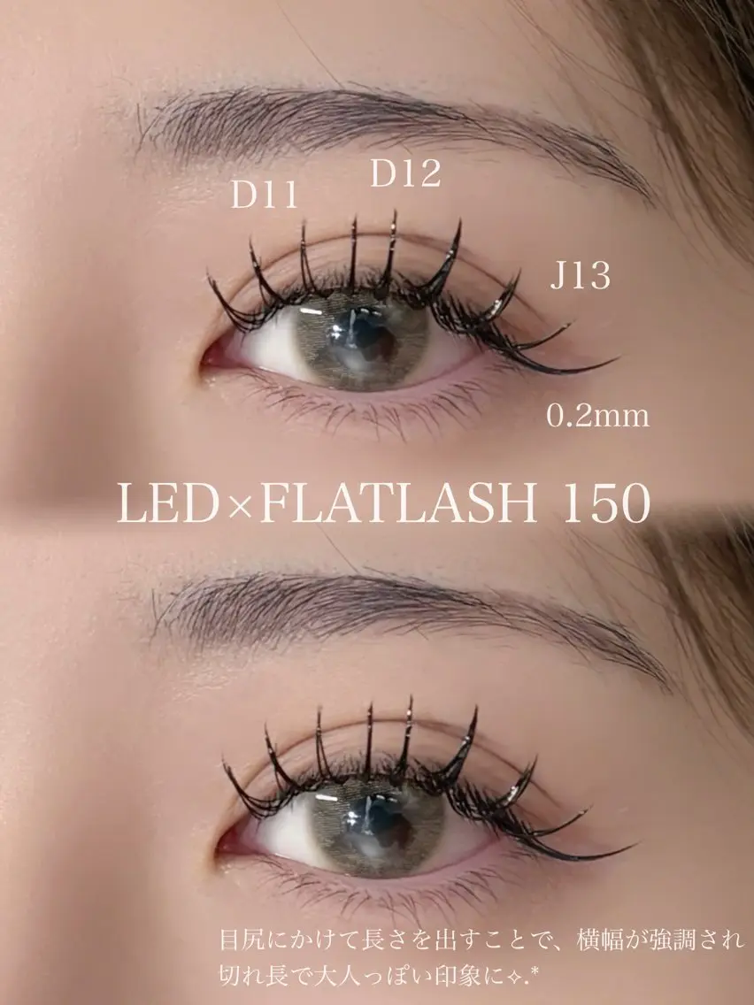 ✨【LED】✨フラットラッシュエクステモデル150本💫1日2名様限定‼️の写真