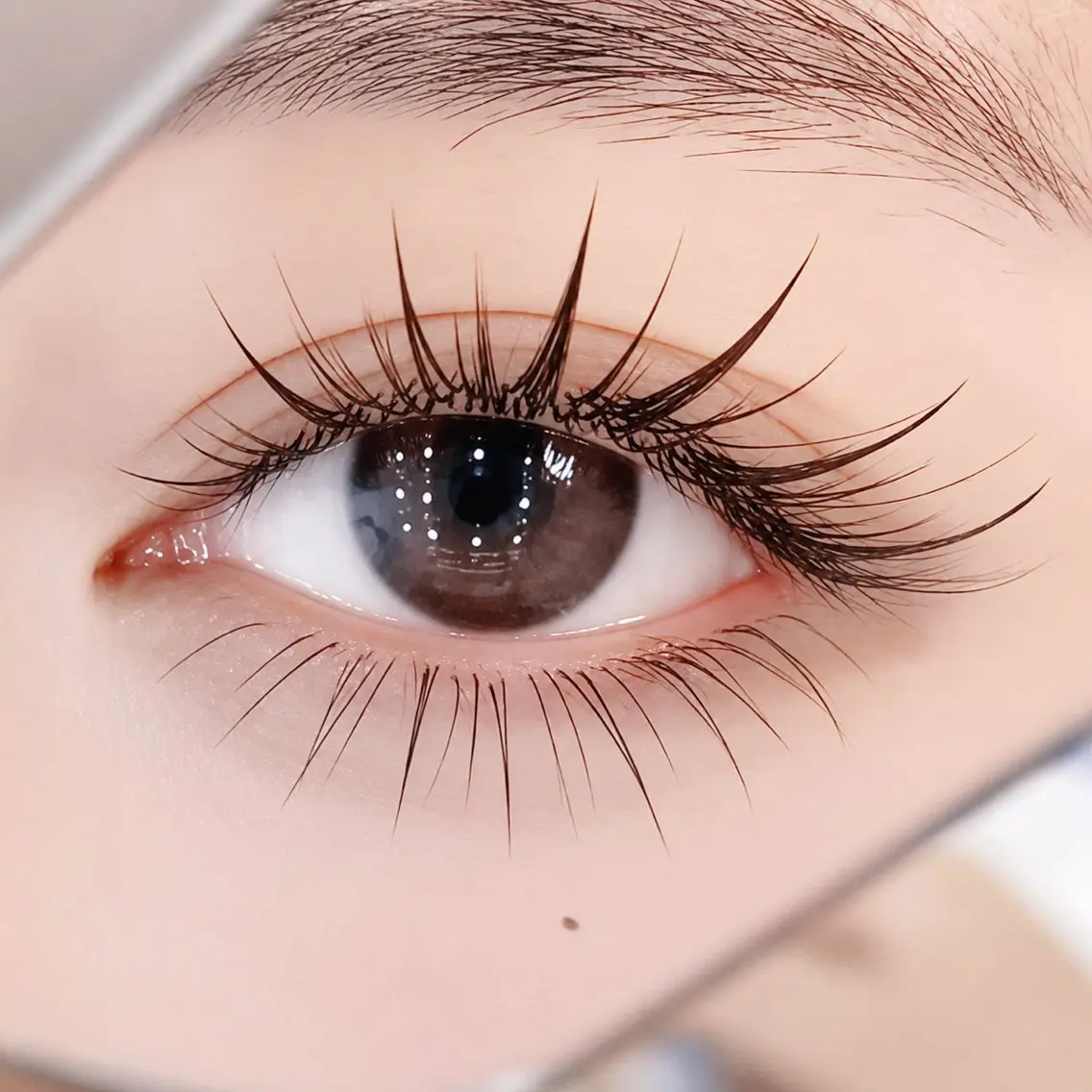 マツエク・マツパ マツエク 🧸Rich+eye &eyebrow仙台のマツエク・マツパデザイン