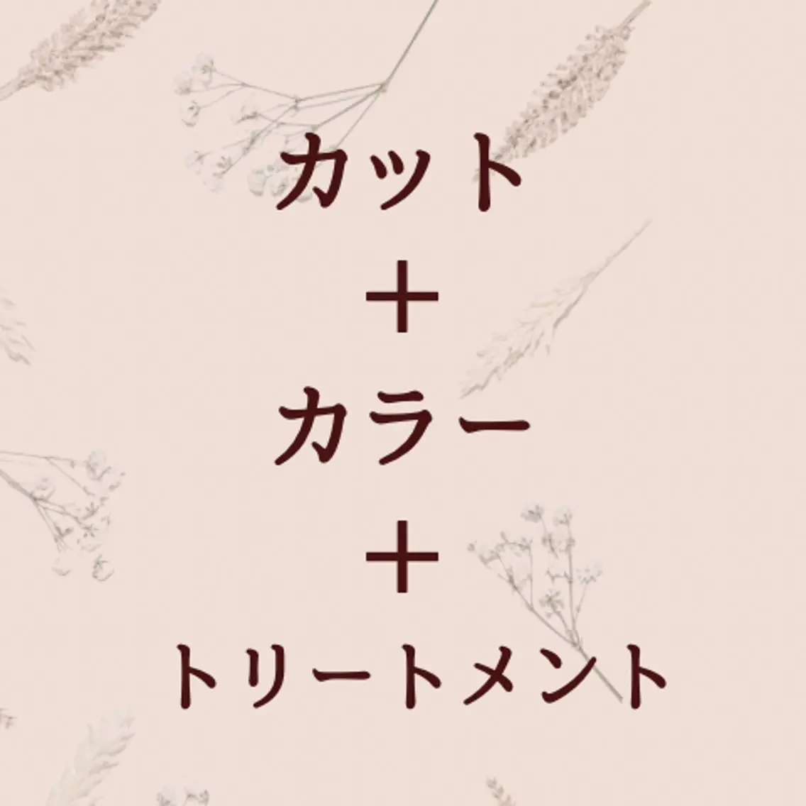 《美髪ケア付》カット＋カラー＋トリートメントの写真