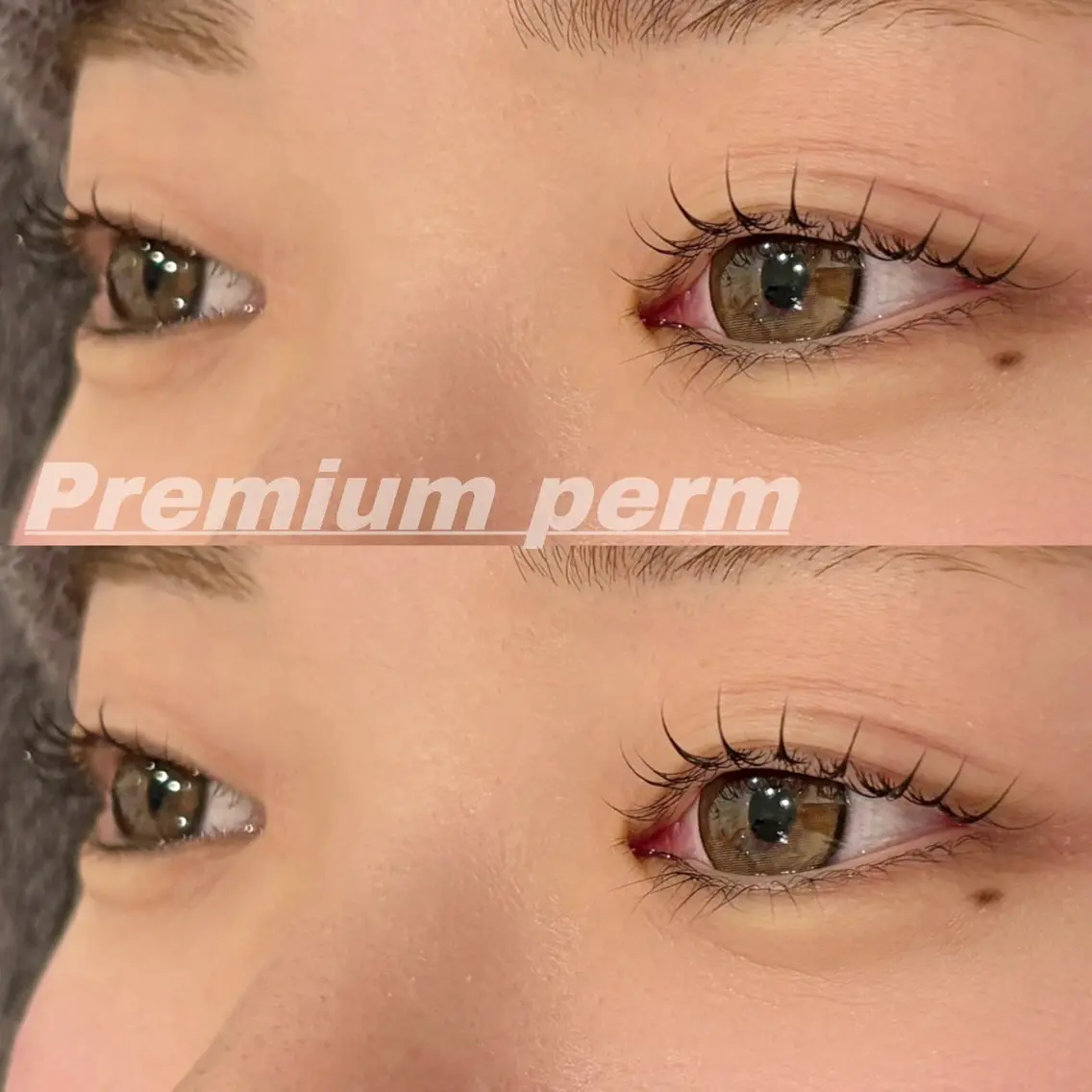マツエク・マツパ 一重×まつ毛パーマ Eye ELSA lash栄店の眉毛・アイブロウイメージ