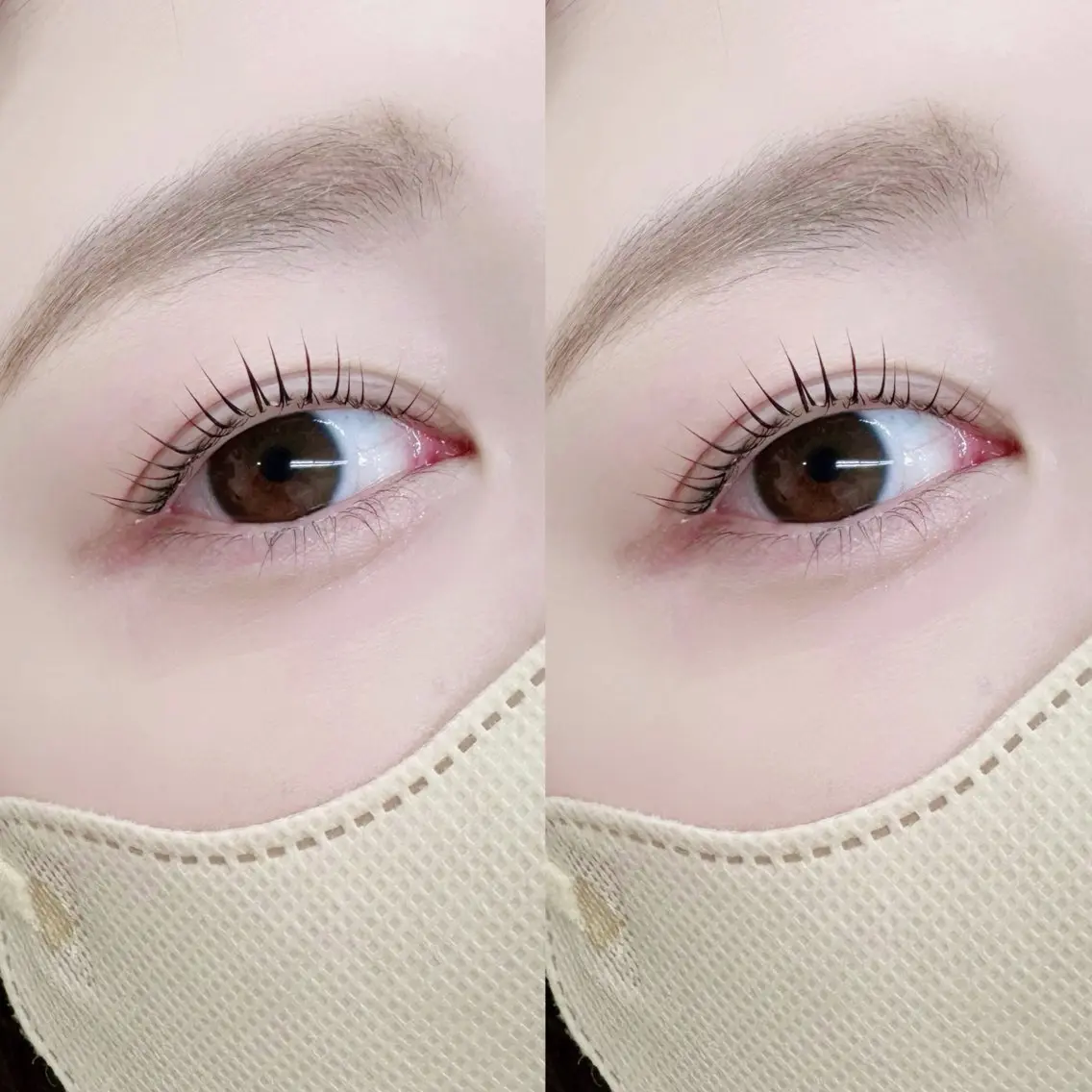 【5月ご来店限定価格♡】🫧人気No.1🤍まつげパーマ上3500円 or上下4500円　池袋/マツパ/束感の写真
