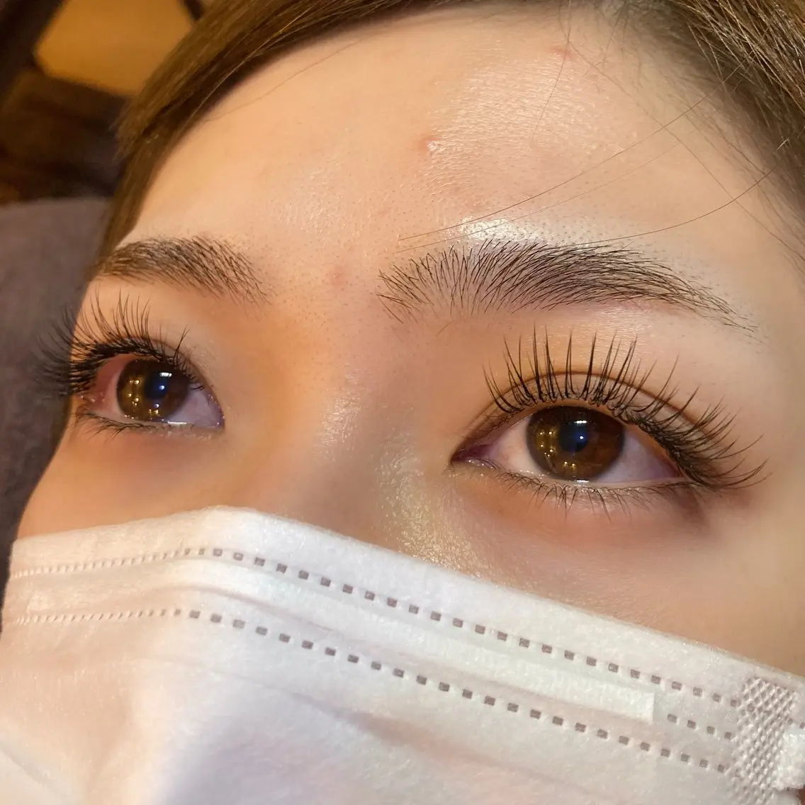 セーブル 100本 アイシャンプー&コーティング付き オフ込みの写真