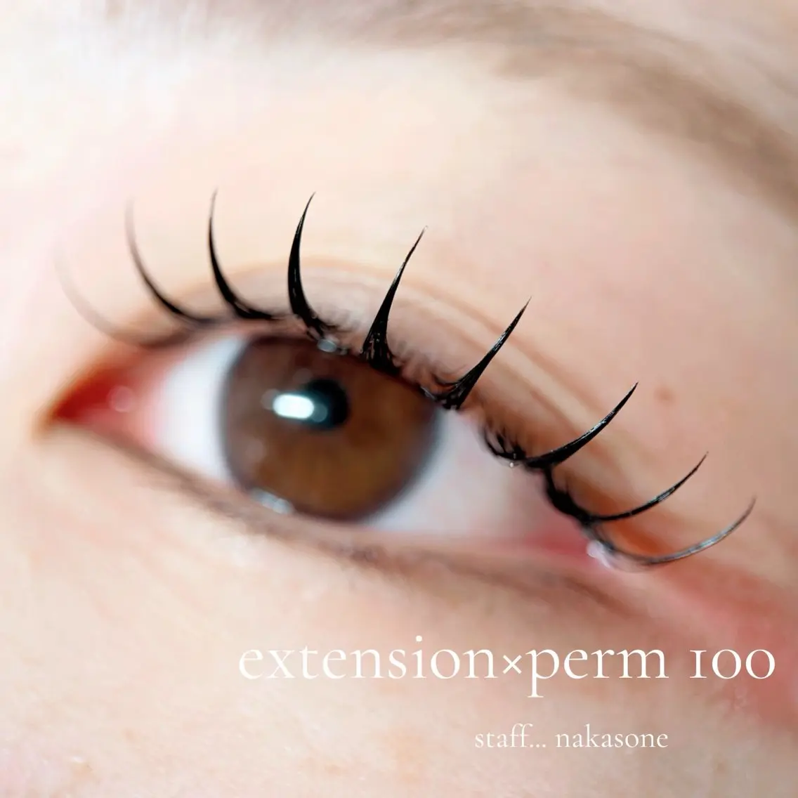 【 minimo限定価格!】 🫧エクパーマ100本🤍( オフなし )の写真