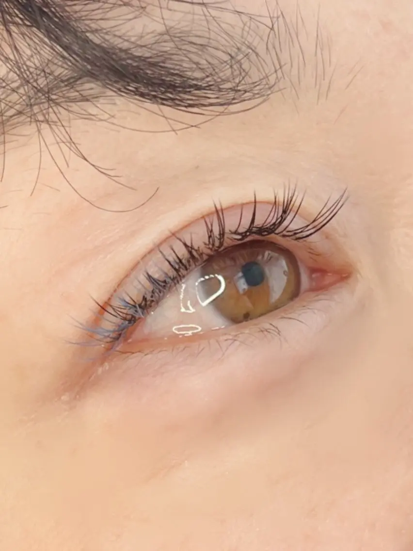 マツエク・マツパ 《eyelash ｉｉｔｅ》森のマツエク・マツパデザイン