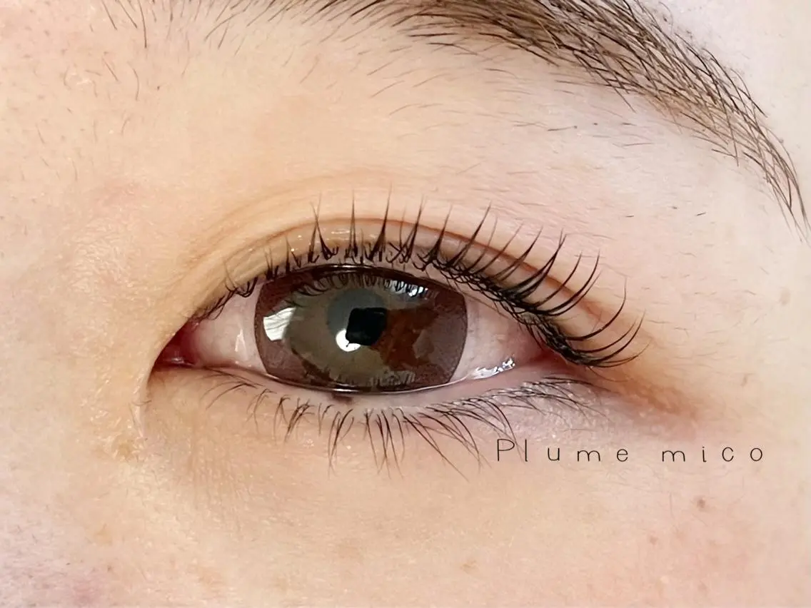 マツエク・マツパ マツパ Plume micoのマツエク・マツパデザイン