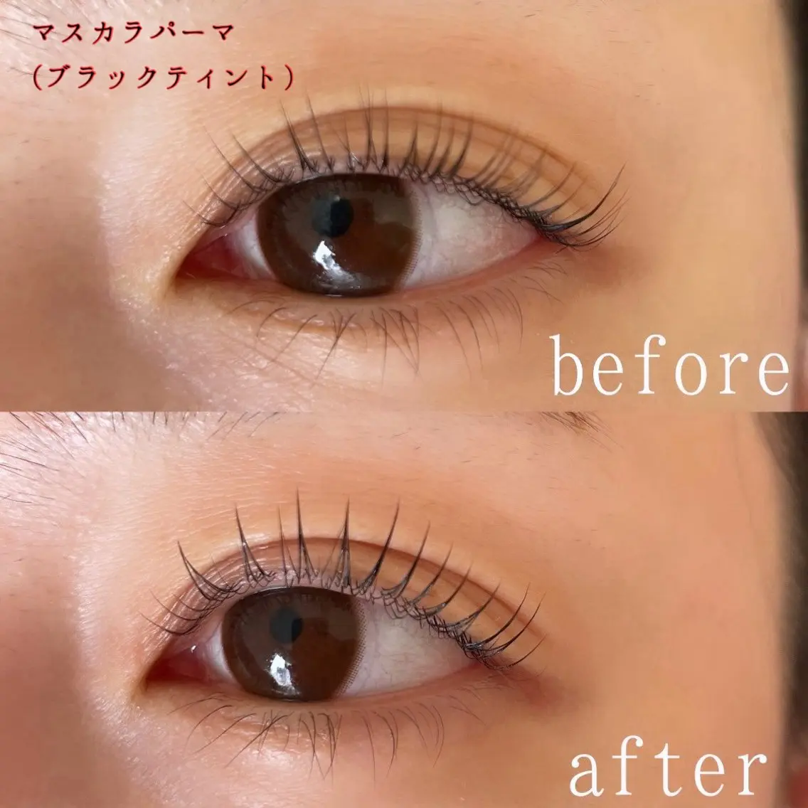 マツエク・マツパ 一重×まつ毛パーマ マツパ プロ施術★完全 個室VeroMaiのマツエク・マツパデザイン