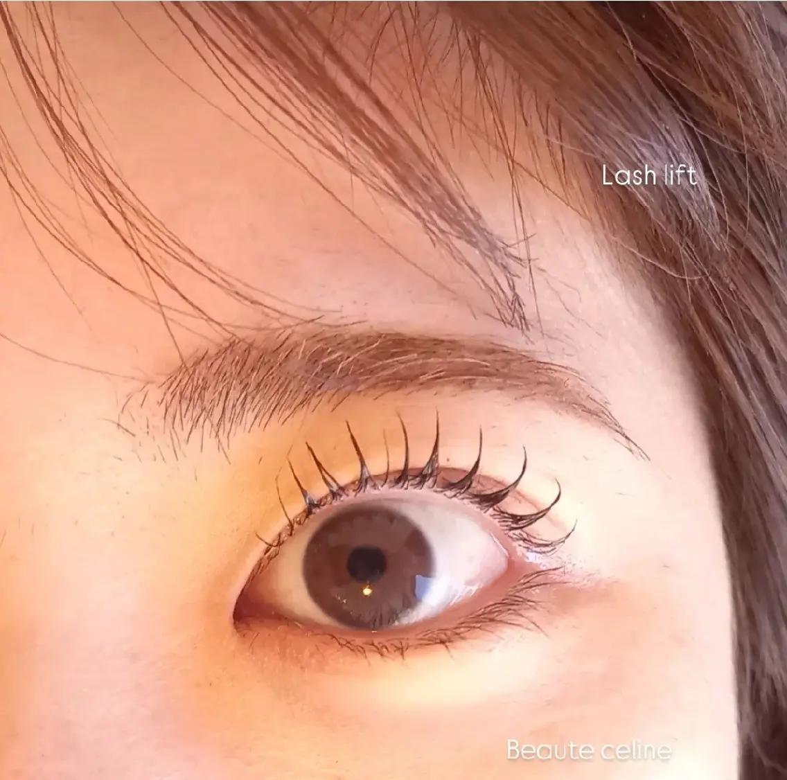 マツエク・マツパ マツパ LED✨beaute Celine🌛🌹のマツエク・マツパデザイン
