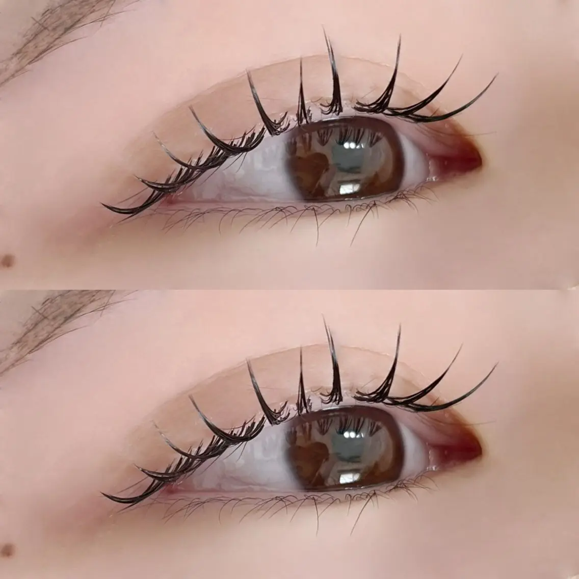 セーブル100本の写真