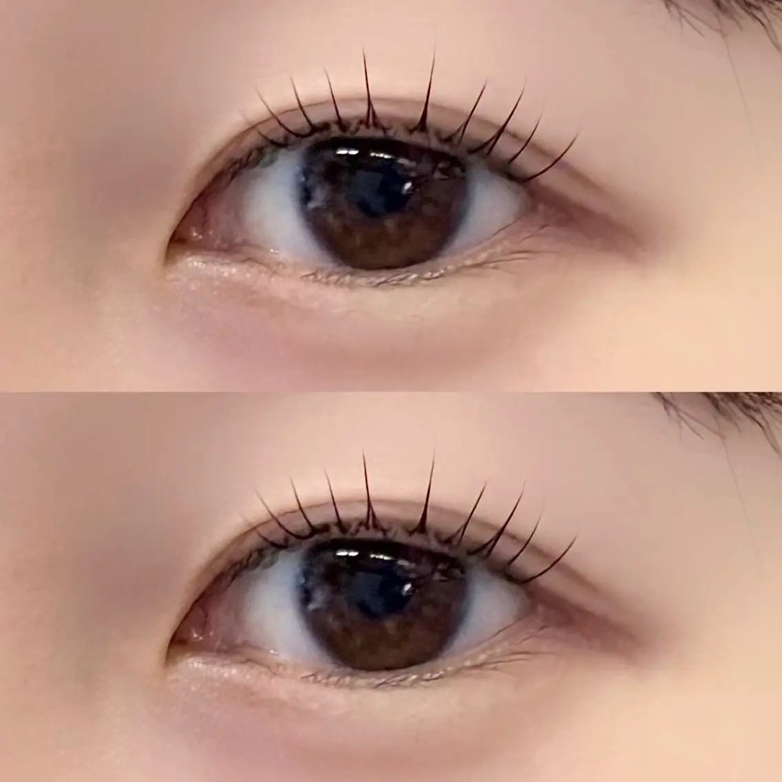 【再来】ラッシュリフトorパリジェンヌ✨ケア付きの写真
