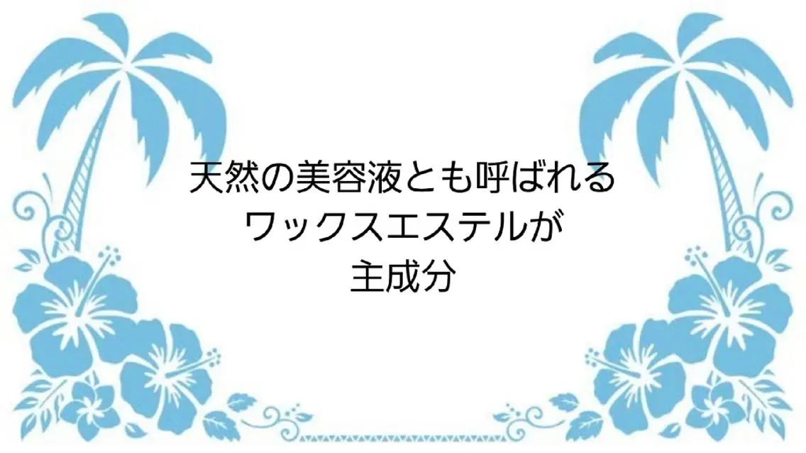 MAHINA 🌺KAYO🌺のエステ・リラクイメージ