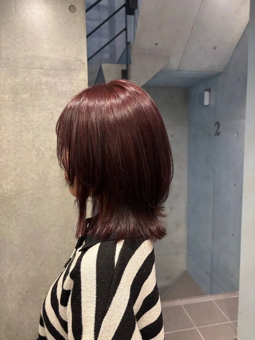ミディアム カラー カシス レイヤーカット ヘアカラー トリートメント noa ☪︎のヘアスタイル