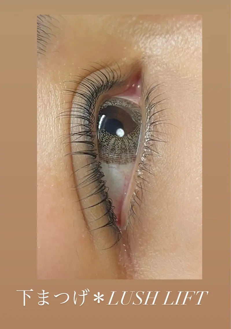 ✨下まつげラッシュリフト✨の写真