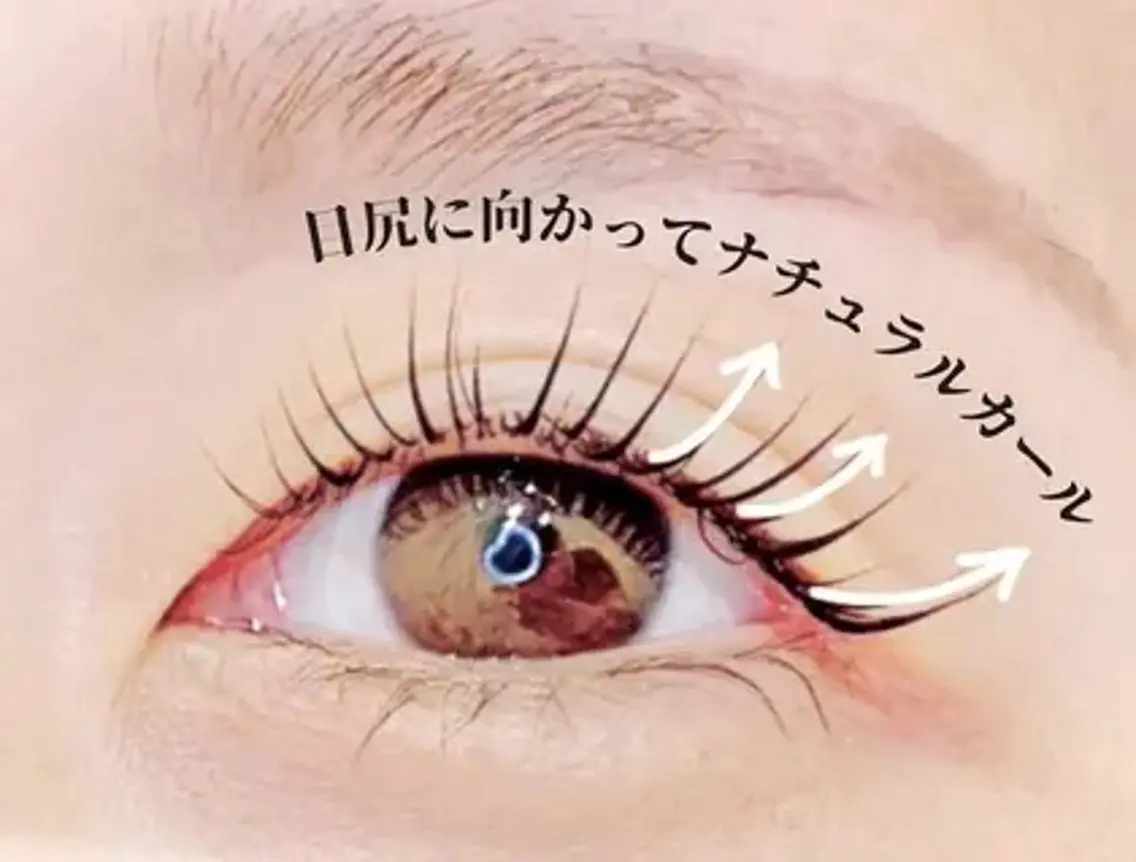 🍀ご新規様限定🍀当日予約🆗メーテルラッシュリフトの写真