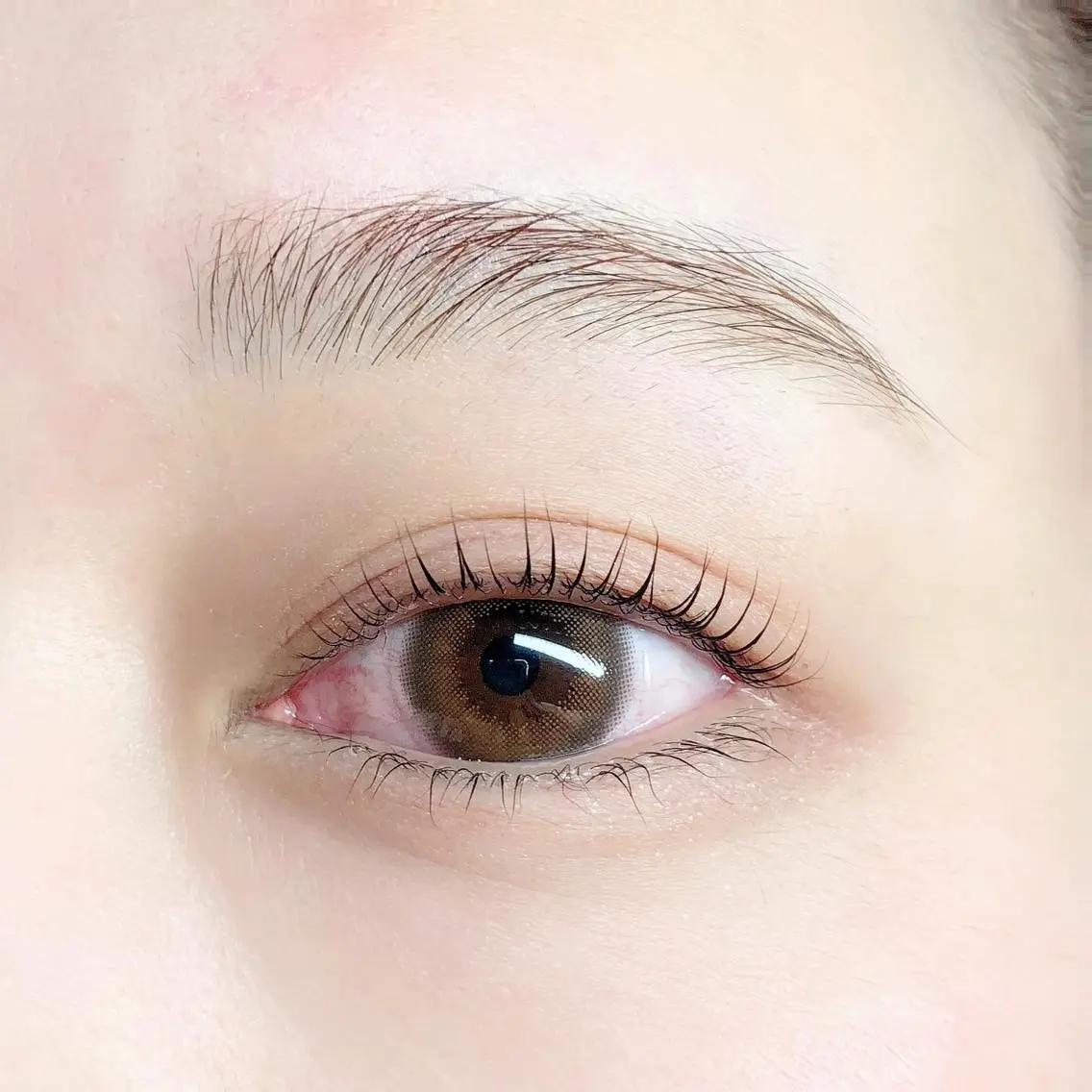 🌻選べるまつげパーマorラッシュリフト🌻の写真