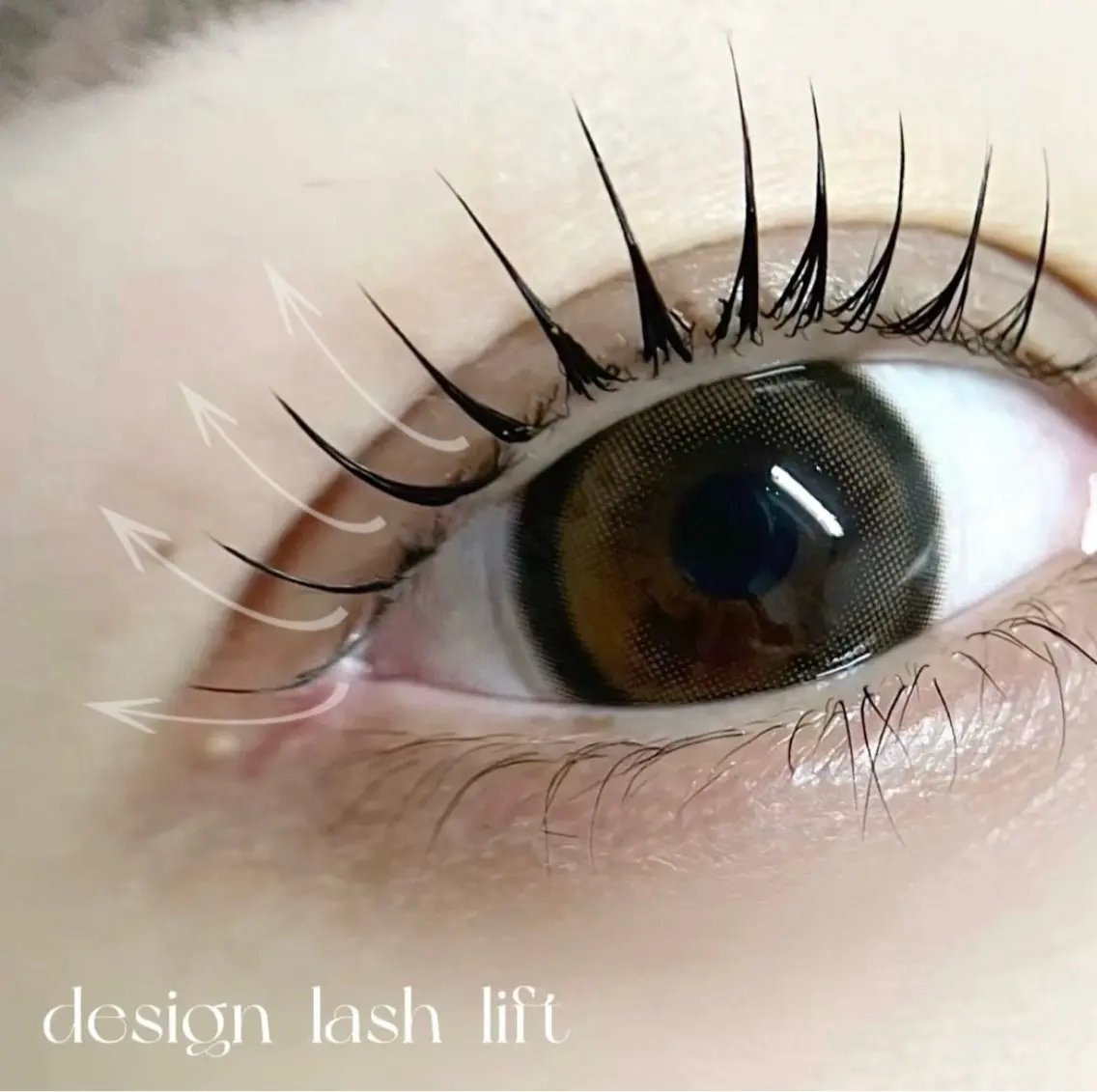 パリジェンヌorラッシュリフト👀💗        ツヤツヤコーティング仕上げ✨️の写真
