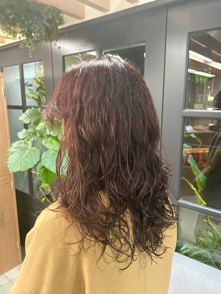 カラー ヘアカラー ヘッドスパ 西新  MAHIRO 🩵🫧艶髪🩵🫧のヘアスタイル