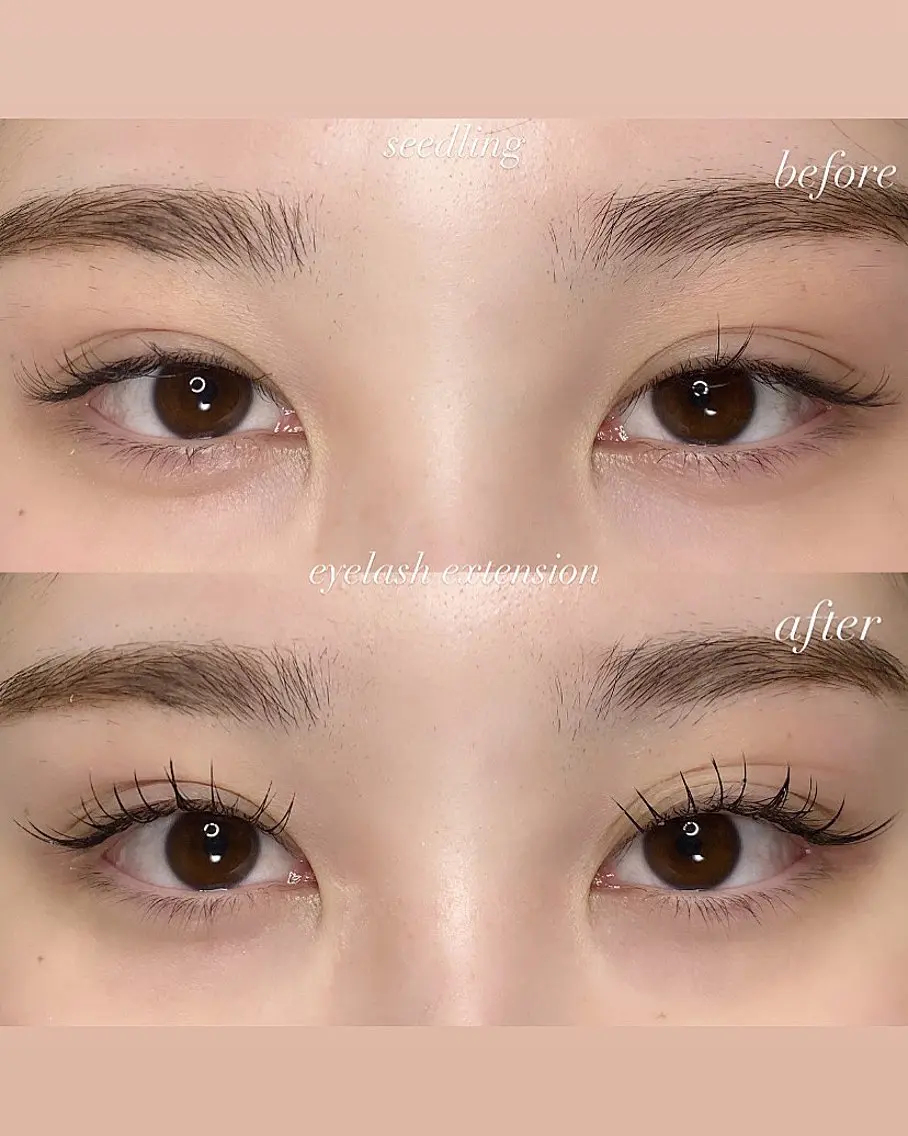 【LED】マツエク(フラットラッシュ)100本👀✨️の写真