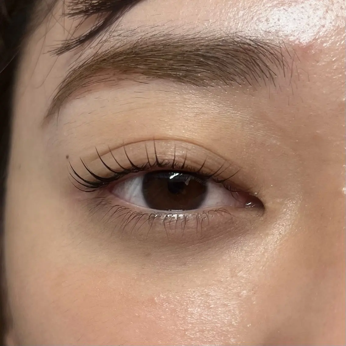 マツエク・マツパ eyelist asumiの眉毛・アイブロウイメージ