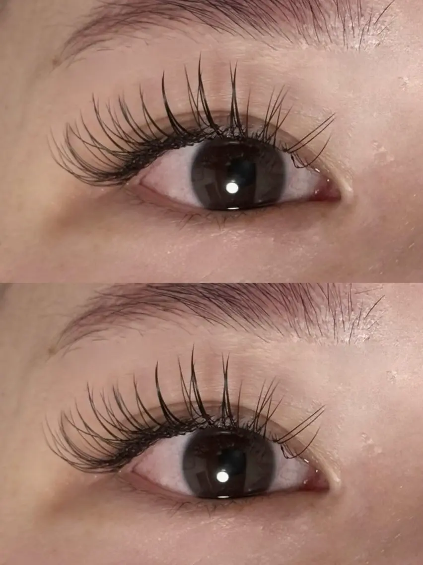 マツエク・マツパ 束感まつ毛 Cカール フラットラッシュ 24eyelash 和泉のマツエク・マツパデザイン