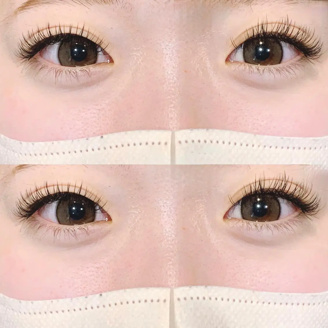 🌟バインドロック🌟【80束】の写真