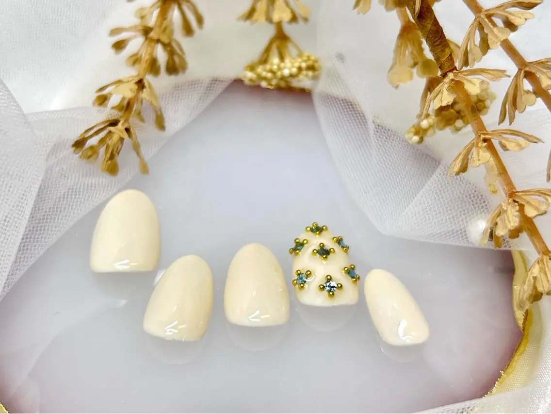 ネイル アートネイル ジェルネイル マグネットネイル ニュアンスネイル パラジェル Nail Neige🐈🌙のネイルデザイン