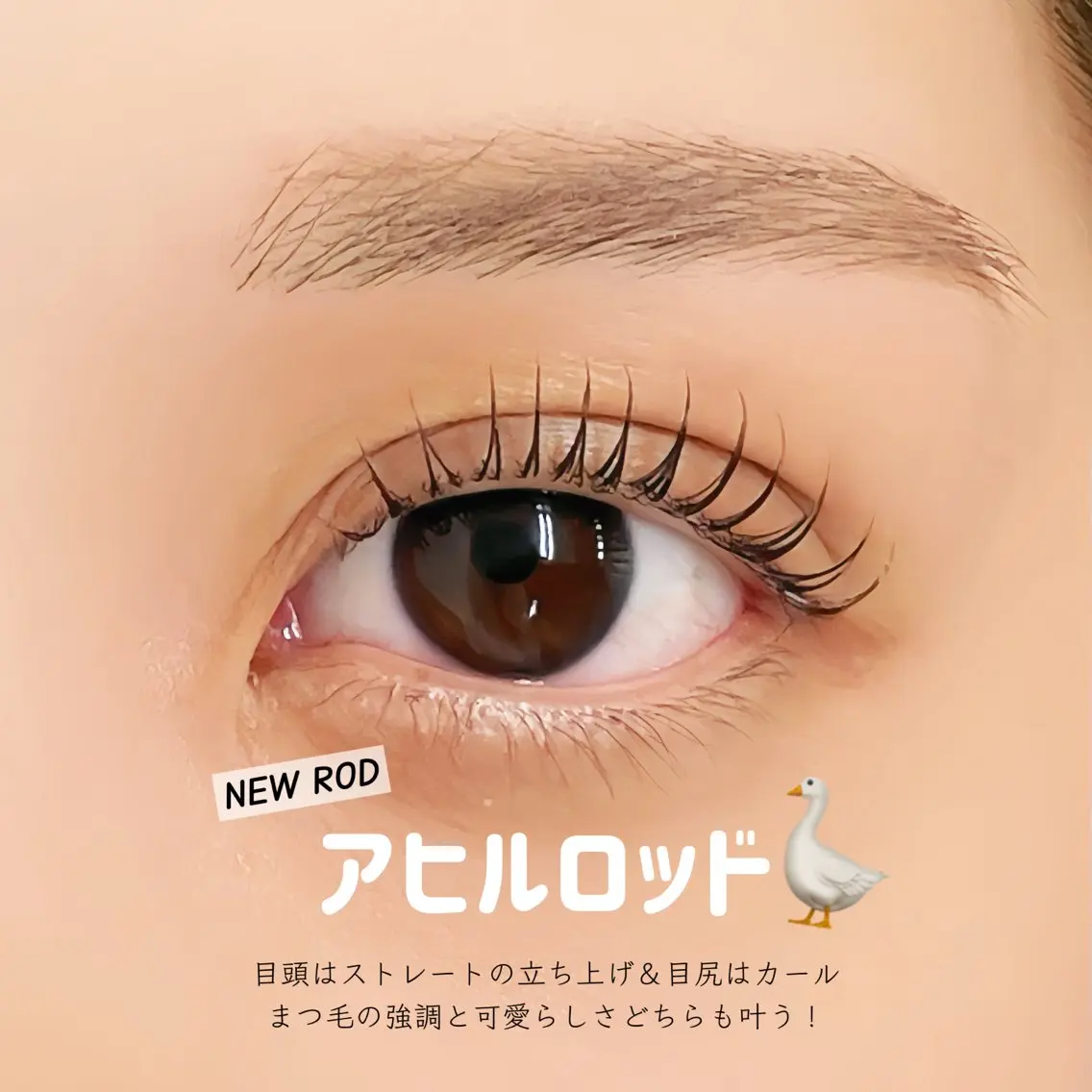 マツエク・マツパ フラットラッシュ 韓国風マツエク パリジェンヌラッシュリフト まつげパーマ 一重×まつ毛パーマ マツパ mai /マツパ.眉のマツエク・マツパデザイン