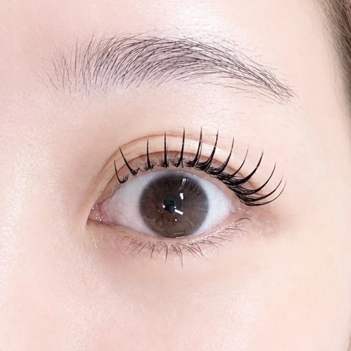 【新規限定】高持続♪フラットラッシュ120本までの写真