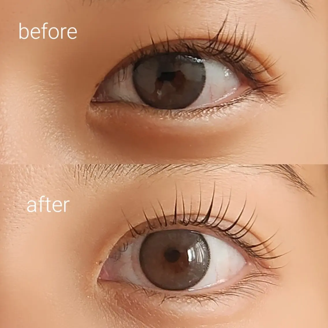 マツエク・マツパ まつげパーマ マツパ Dorothyeye yuumiのマツエク・マツパデザイン