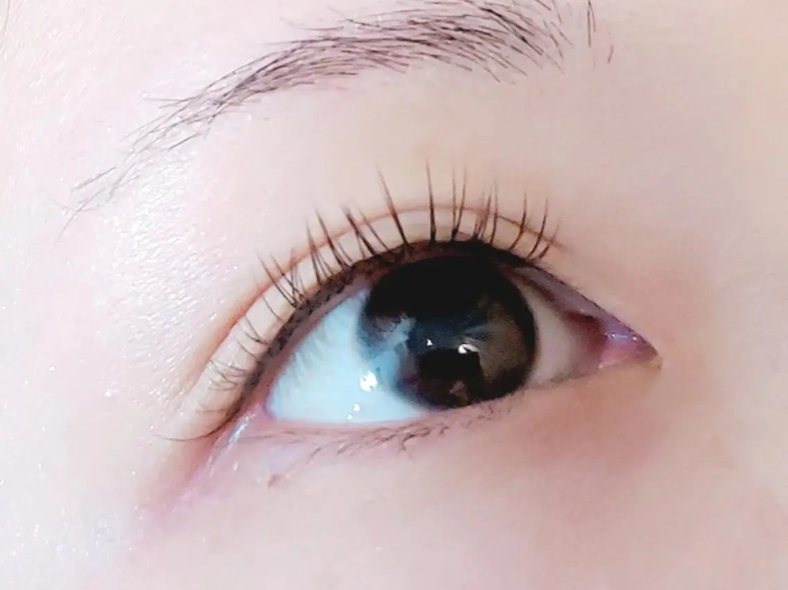 人気NO.1✨️【ミニモ限定】バインドロック✨️80束の写真