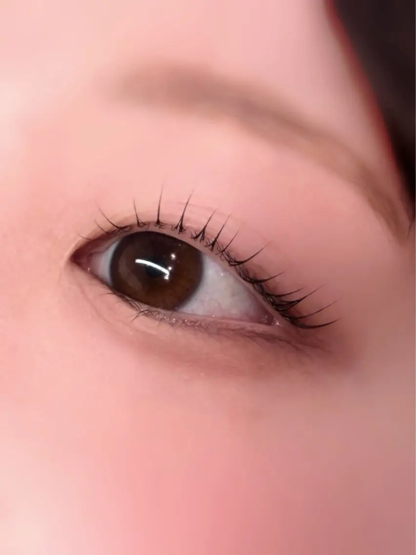 【　🩷期間限定🩷　】まつげパーマ( ơᴗơ )♡ 〈上〉の写真