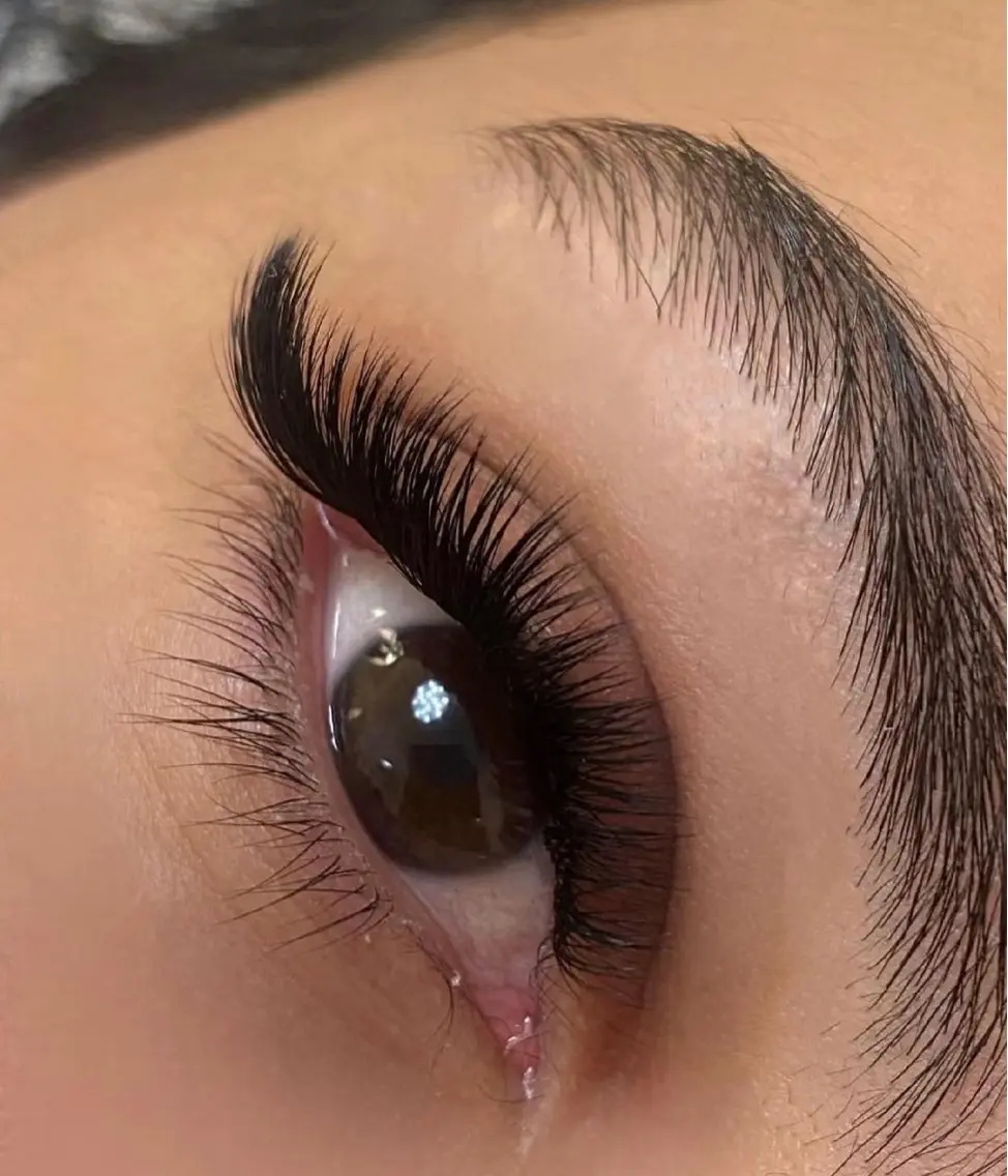 マツエク・マツパ マツエク APEX EYELASHのマツエク・マツパデザイン