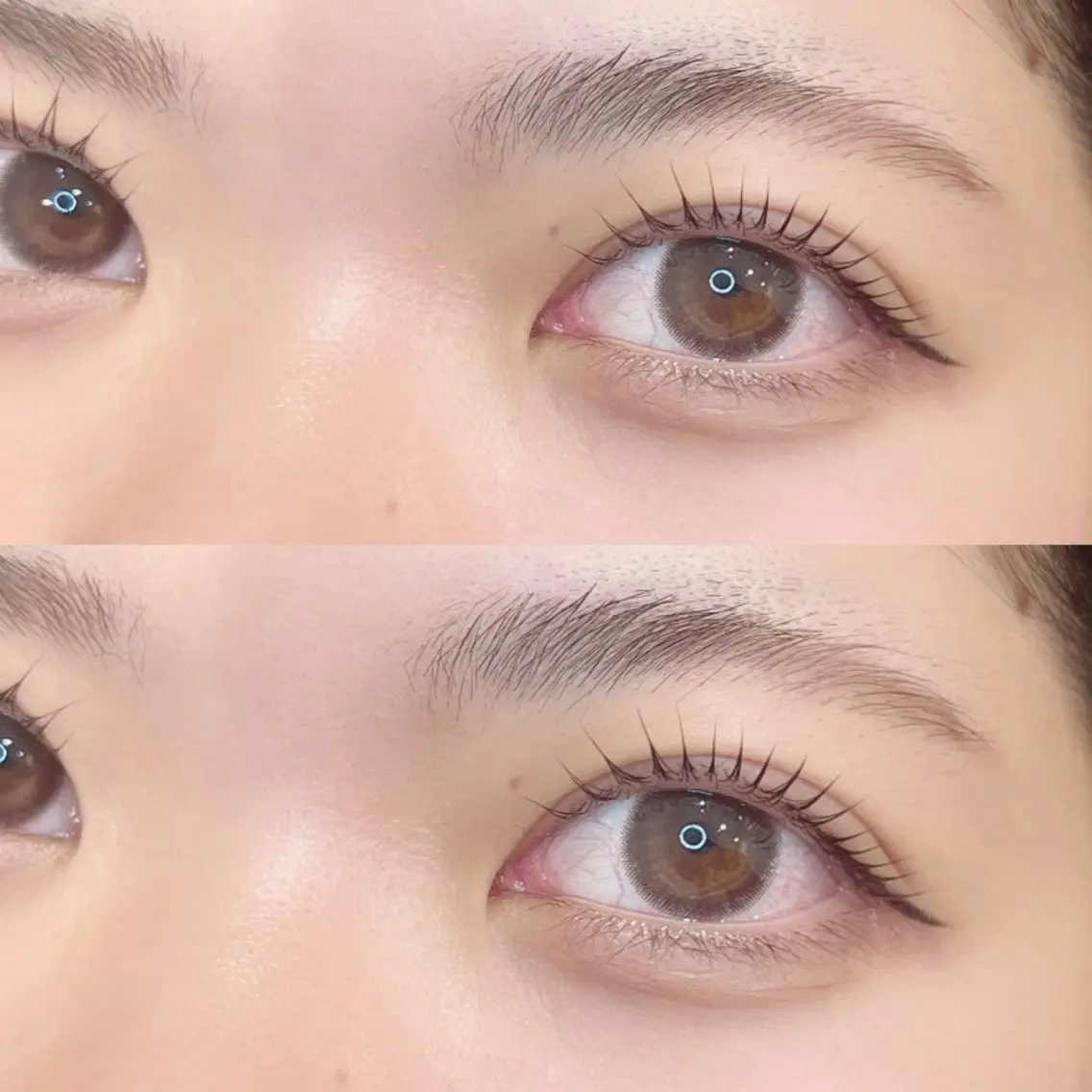 【🦄💫平日限定💫🦄】❤︎パリジェンヌラッシュリフト❤︎アフタートリートメント付きの写真