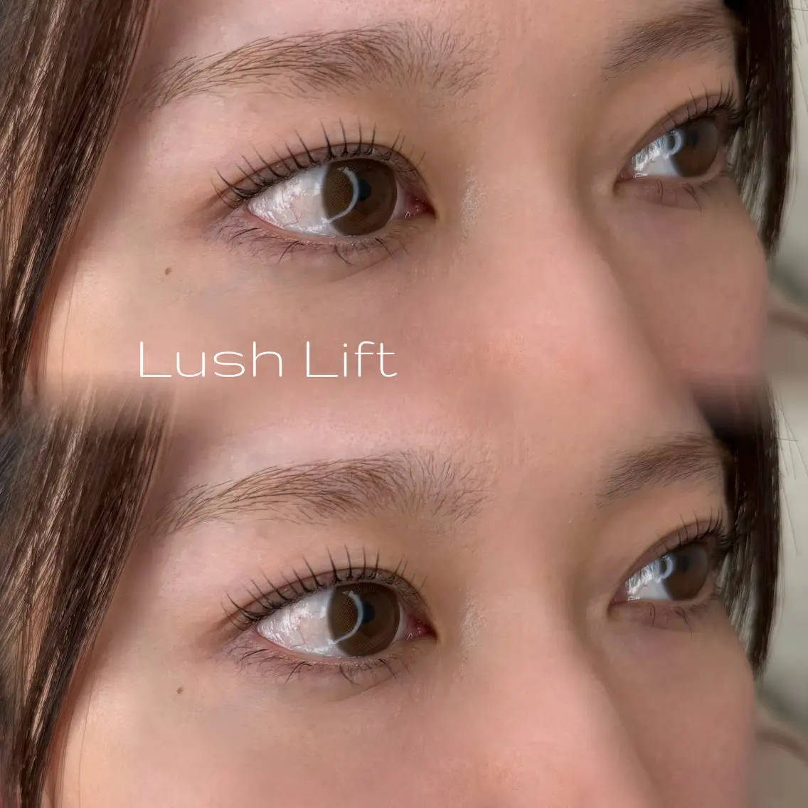 【平日11​〜​15時限定】まつげパーマコーティング付🫧の写真