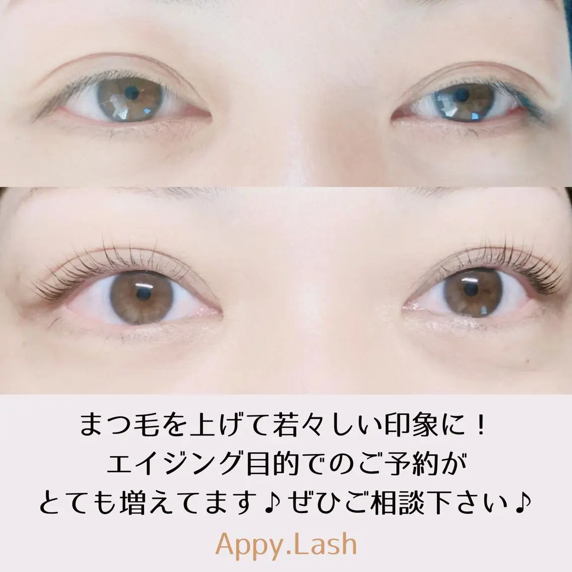 マツエク・マツパ フラットラッシュ ナチュラル パリジェンヌラッシュリフト まつげパーマ ボリュームラッシュ まつげと眉の専門店 Appy.Lashのマツエク・マツパデザイン
