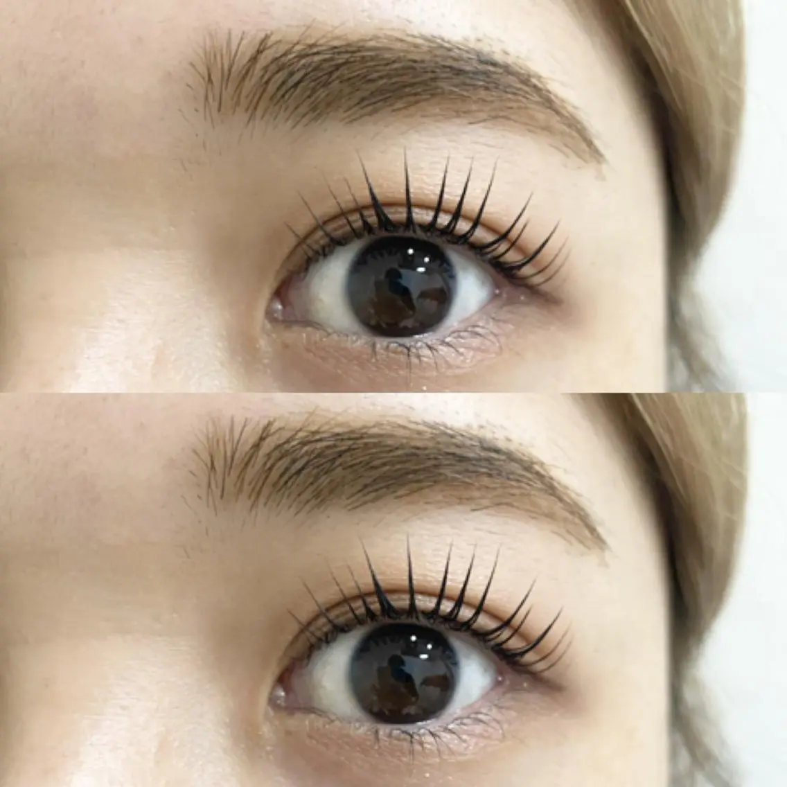 マツエク・マツパ パリジェンヌラッシュリフト Bunny eyes NEWOTANI博多の眉毛・アイブロウイメージ