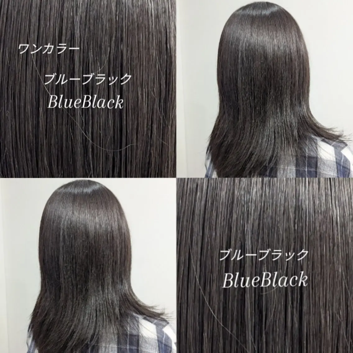 カラー セミロング 黒髪 ブルーカラー ブルーブラック ルプラボウ/豊川/ 清水千尋のヘアスタイル