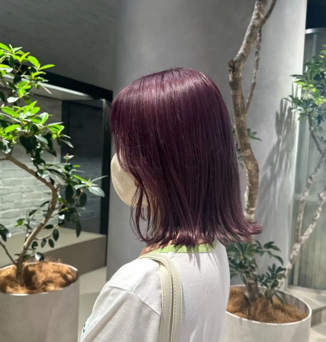 【❣️お手頃価格❣️】🌼ワンカラー🌼の写真
