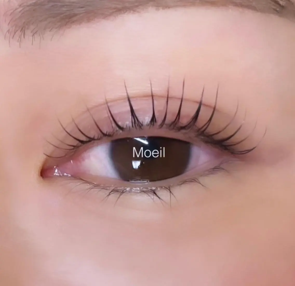 マツエク・マツパ マツパ Moeil. /ﾓｲﾕのマツエク・マツパデザイン