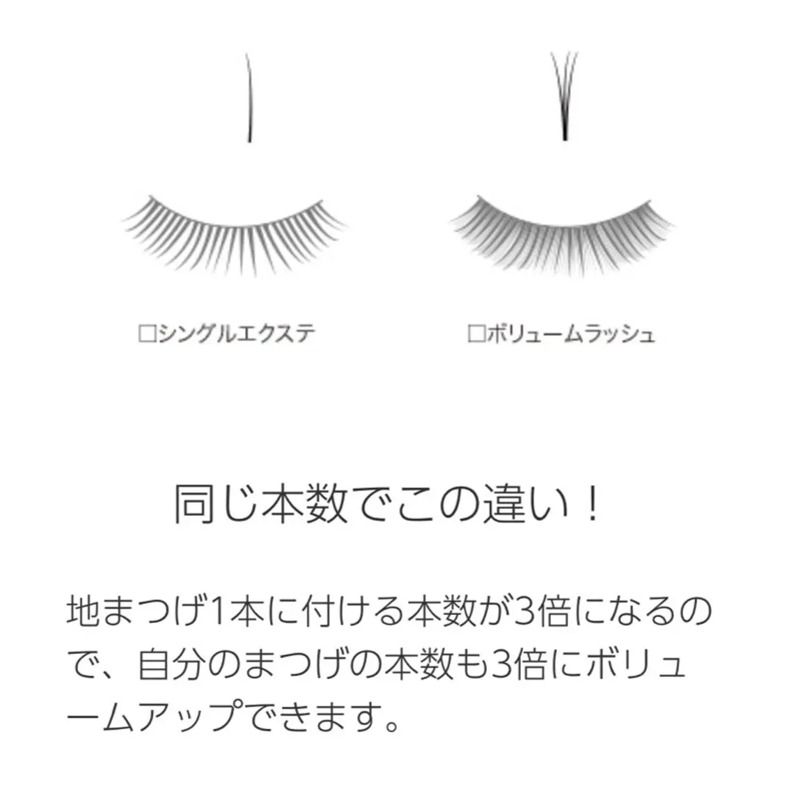 ボリュームラッシュ/100束の写真