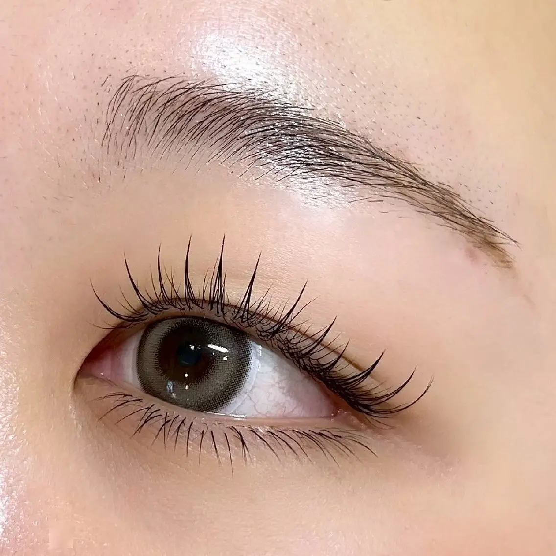 マツエク・マツパ 下まつげエクステ マツエク eyelash R𓇼eri🐈️の眉毛・アイブロウイメージ
