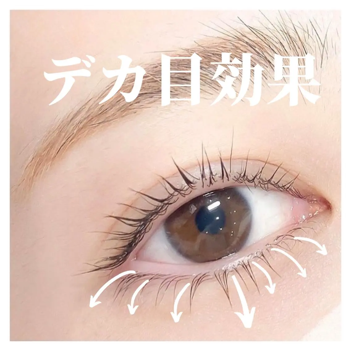 マツエク・マツパ マツパ Prima💜 アイラッシュ💜のマツエク・マツパデザイン
