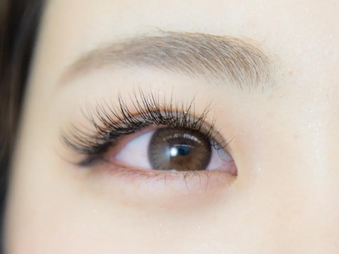 マツエク・マツパ Cカール シルク Chipieee iLaの眉毛・アイブロウイメージ