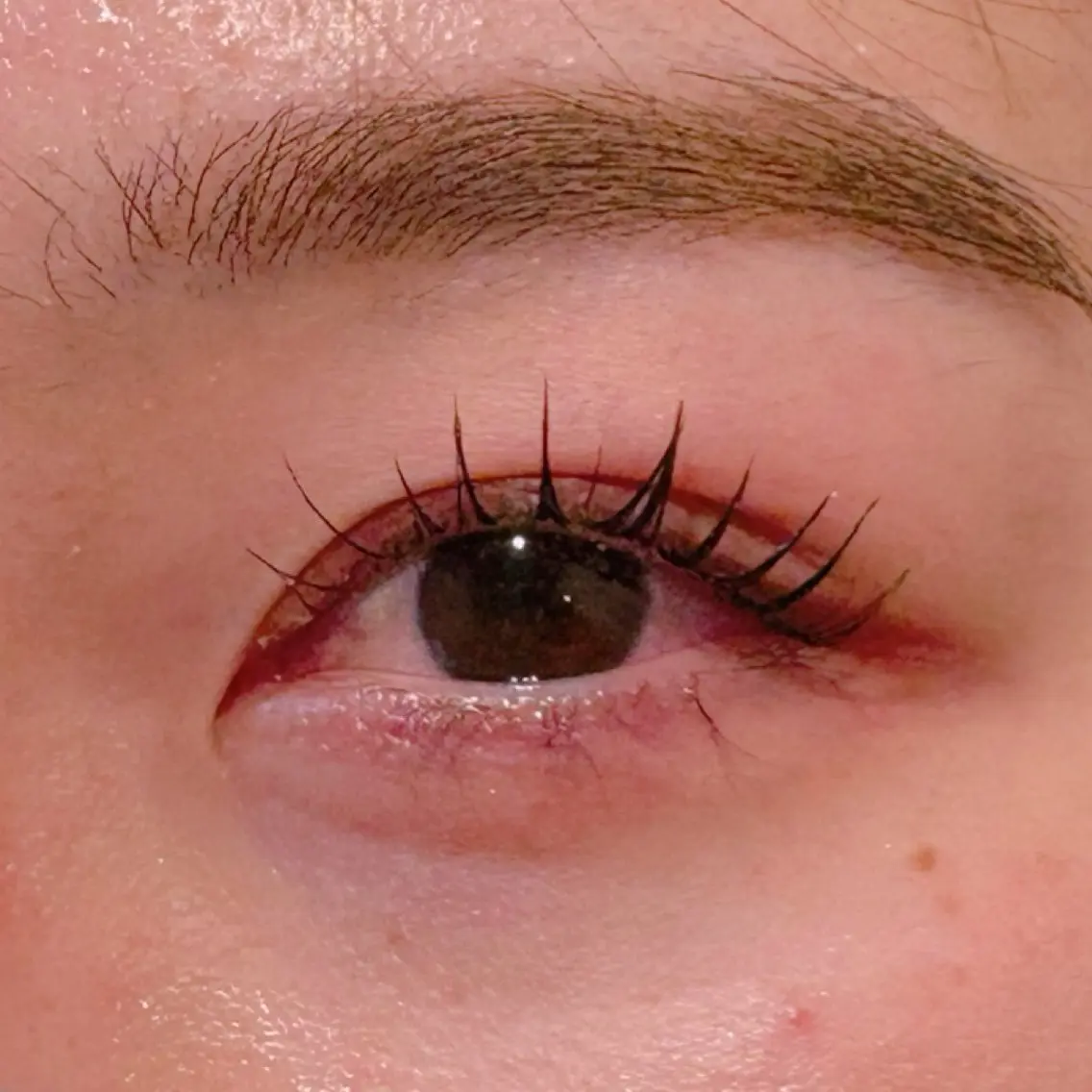 parisienne lash lift 🇫🇷まつ毛ケア✨トリートメント🧼束感コーティング仕上げ🪄の写真